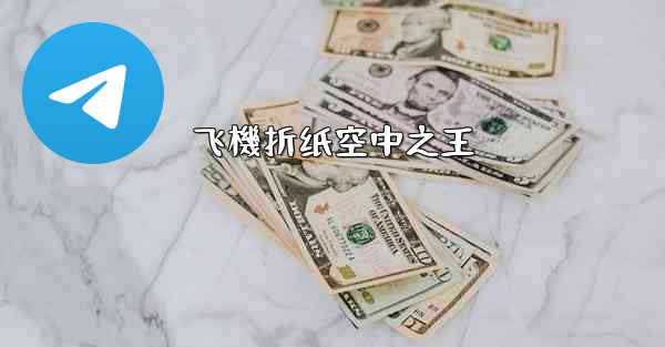 <b>飞機折纸空中之王</b>