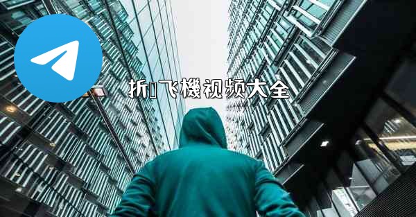 折叠飞機视频大全