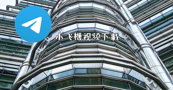 小飞機视频下載