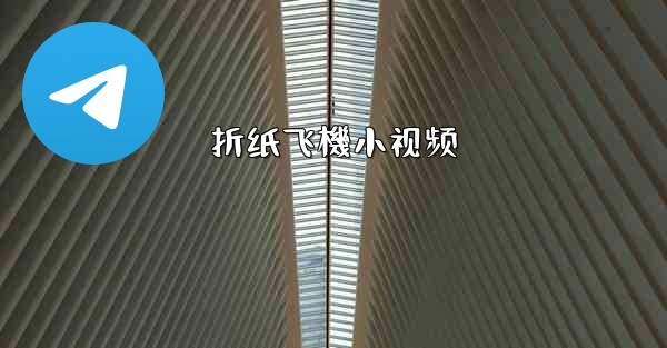 折纸飞機小视频