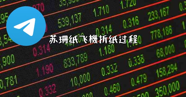 苏珊纸飞機折纸过程