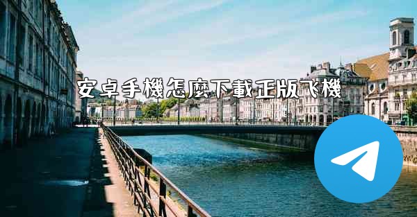 安卓手機怎麼下載正版飞機