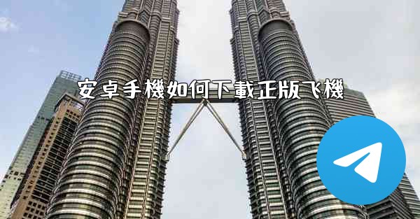 安卓手機如何下載正版飞機