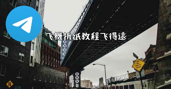 <b>飞機折纸教程飞得遠</b>