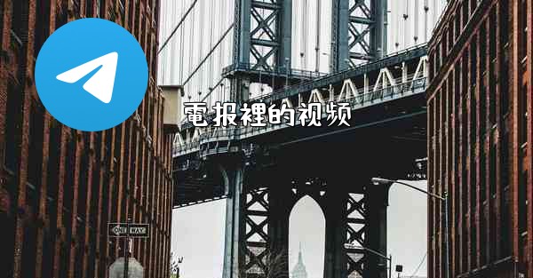 電报裡的视频