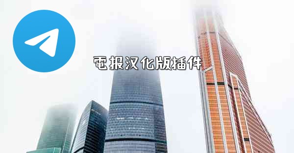 電报汉化版插件