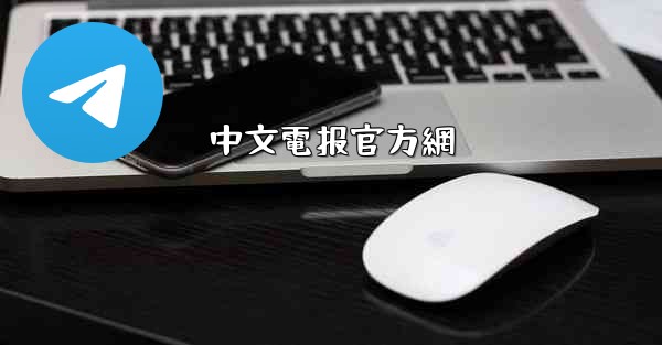 中文電报官方網