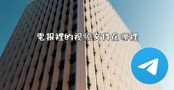 電报裡的视频文件在哪裡