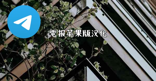 電报苹果版汉化