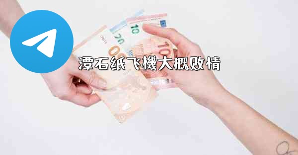 <b>潭石纸飞機大概剧情</b>