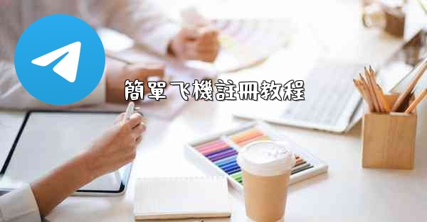 <b>簡單飞機註冊教程</b>