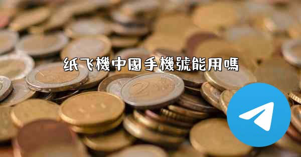 纸飞機中國手機號能用嗎