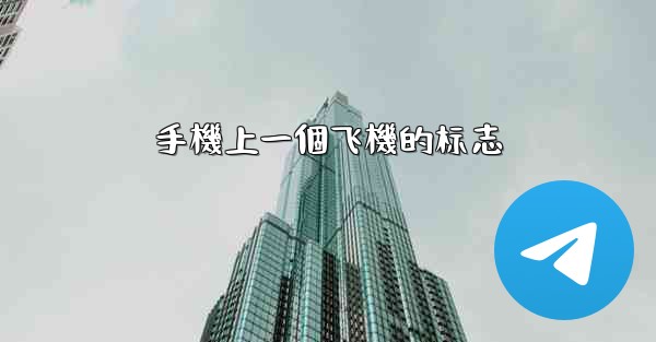 手機上一個飞機的标志