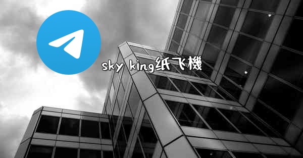 sky king纸飞機