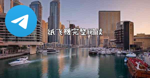 纸飞機完整阅读