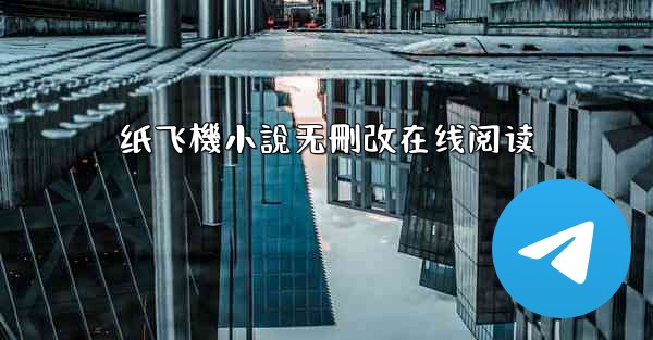 纸飞機小說无刪改在线阅读