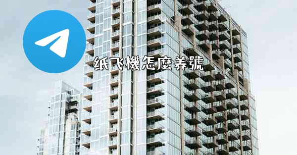 纸飞機怎麼养號