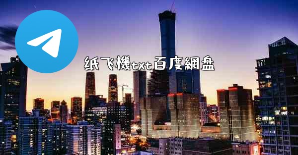 纸飞機txt百度網盘