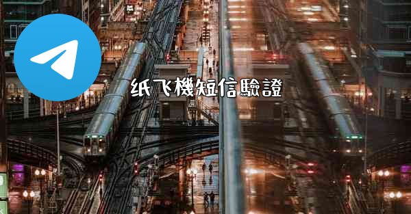 纸飞機短信驗證