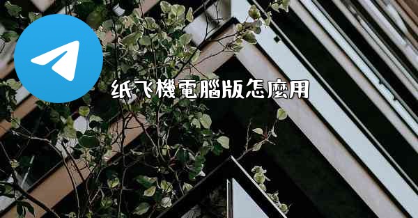 纸飞機電腦版怎麼用