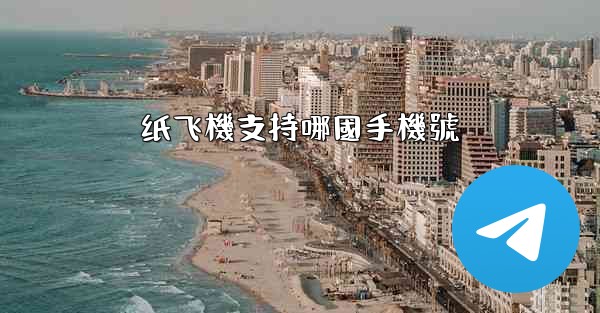 纸飞機支持哪國手機號