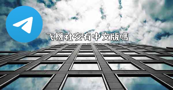 飞機社交有中文版嗎