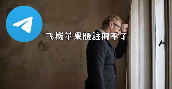 飞機苹果版註冊不了