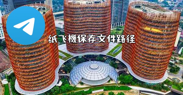 纸飞機保存文件路径