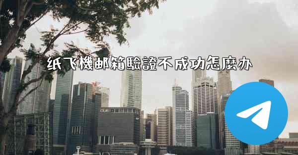 纸飞機邮箱驗證不成功怎麼办