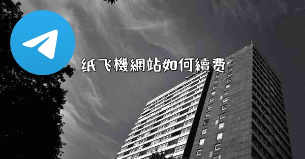 纸飞機網站如何續费