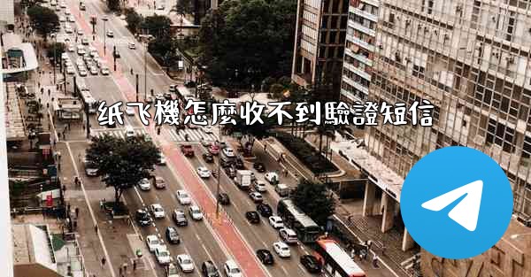 纸飞機怎麼收不到驗證短信