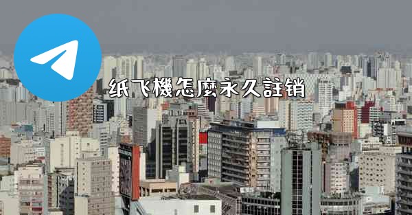 纸飞機怎麼永久註销