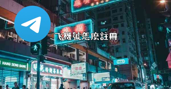 飞機號怎麼註冊