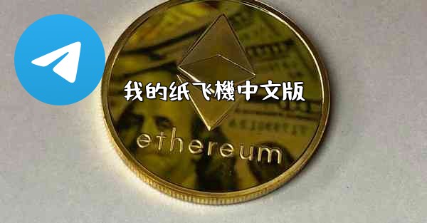 <b>我的纸飞機中文版</b>