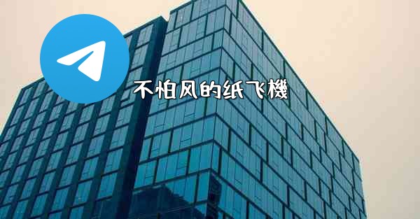 不怕风的纸飞機