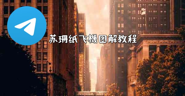 苏珊纸飞機图解教程