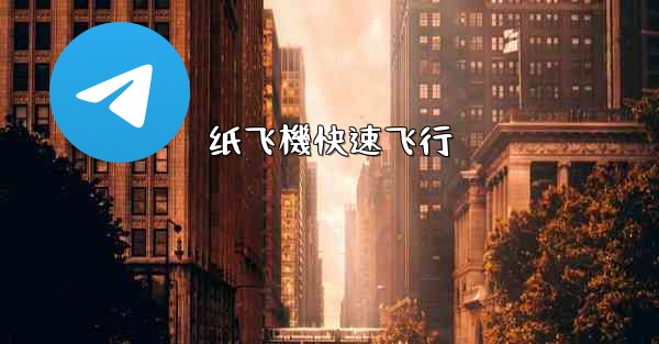 <b>纸飞機快速飞行</b>