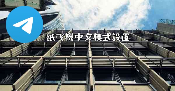纸飞機中文模式設置