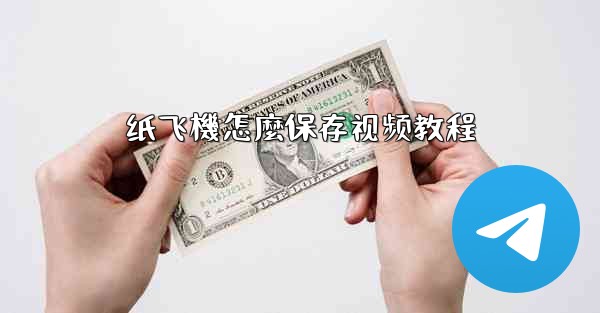 纸飞機怎麼保存视频教程