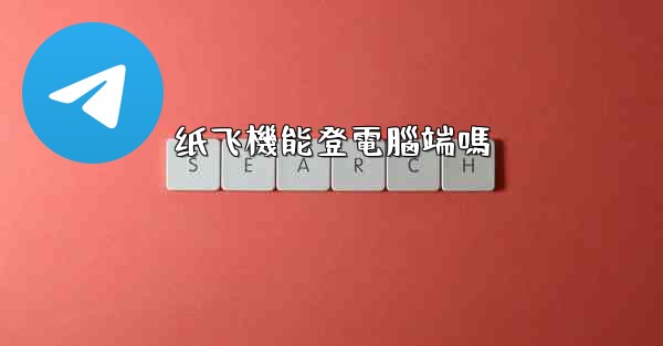 纸飞機能登電腦端嗎