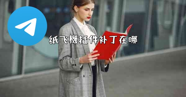 纸飞機插件补丁在哪