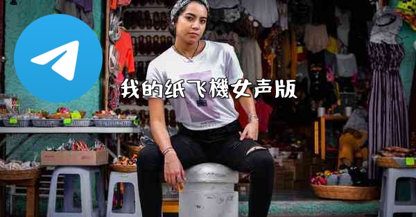 我的纸飞機女声版