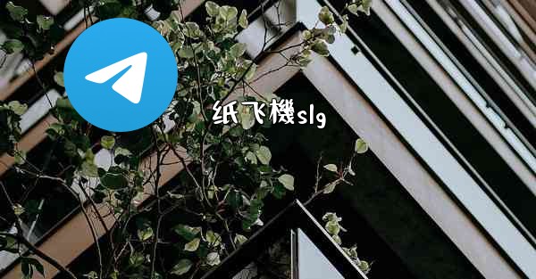 纸飞機slg