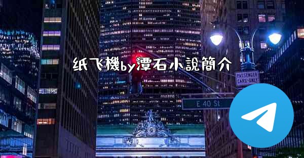 <b>纸飞機by潭石小說簡介</b>