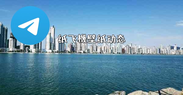 纸飞機壁纸动态