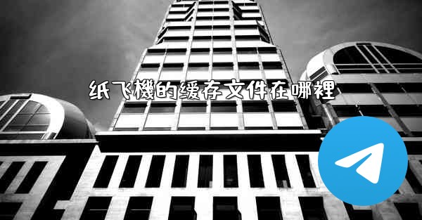 纸飞機的缓存文件在哪裡