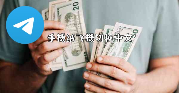 手機纸飞機切换中文
