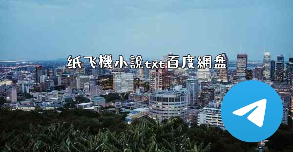 纸飞機小說txt百度網盘