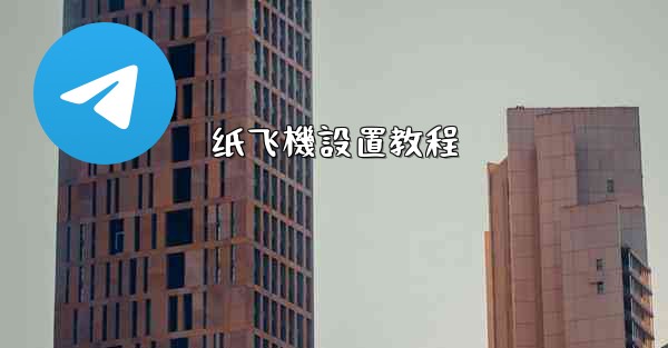纸飞機設置教程
