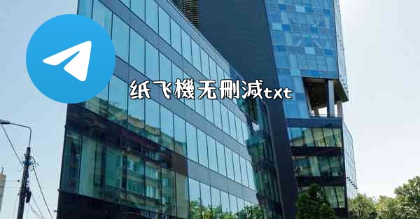 纸飞機无刪減txt